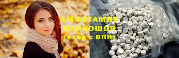 стаф Алзамай