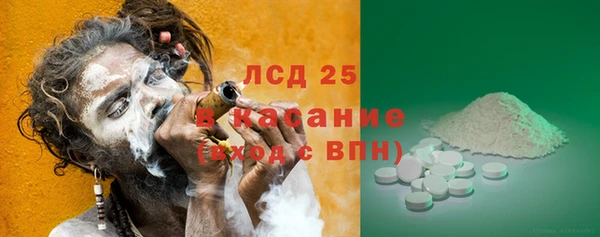 стаф Алзамай
