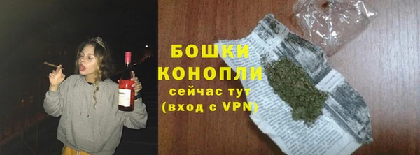 крисы Сатка