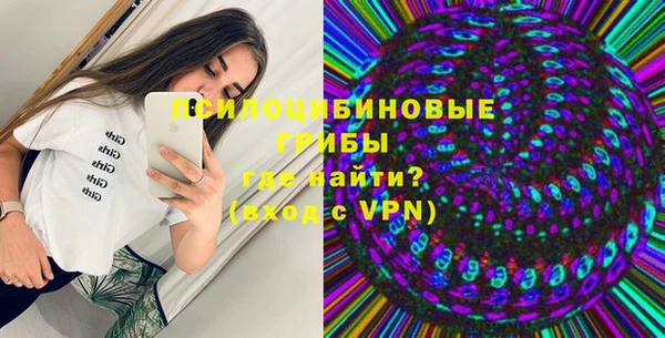 стаф Алзамай