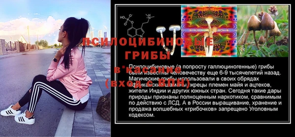 прущие грибы Алексеевка