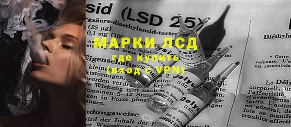 крисы Сатка