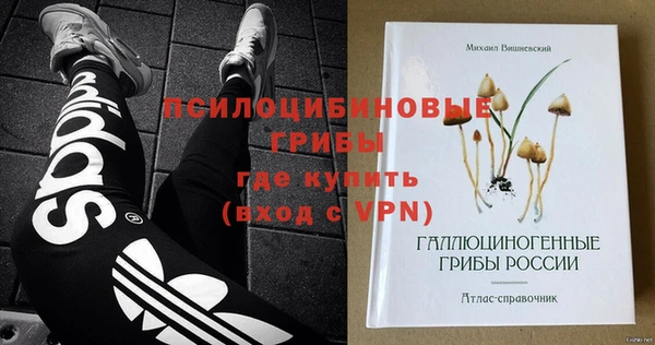 стаф Алзамай
