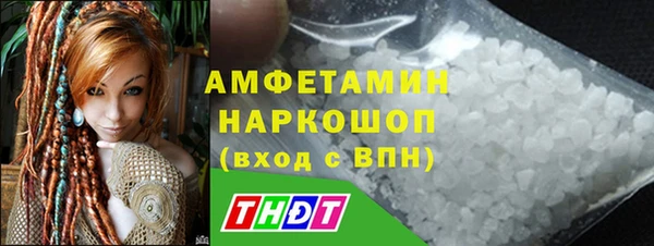 стаф Алзамай