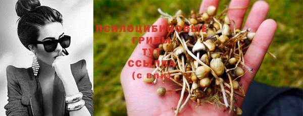 apvp Саяногорск