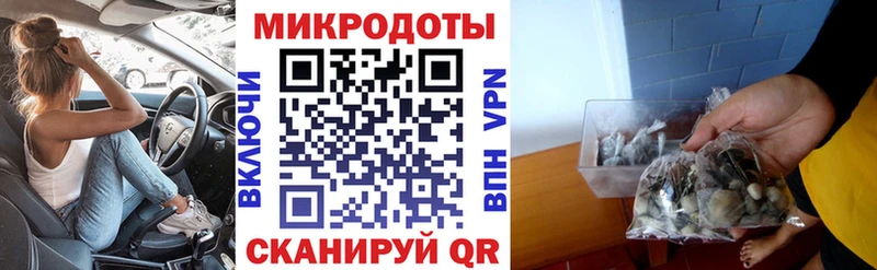 Псилоцибиновые грибы Psilocybe  kraken вход  Карачаевск 